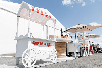 Стрит-фуд для СберУнивера